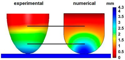 Contact mechanics analysis of a soft robotic fingerpad